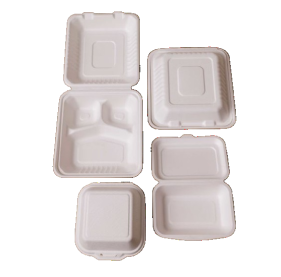 Descartáveis à base de plantas